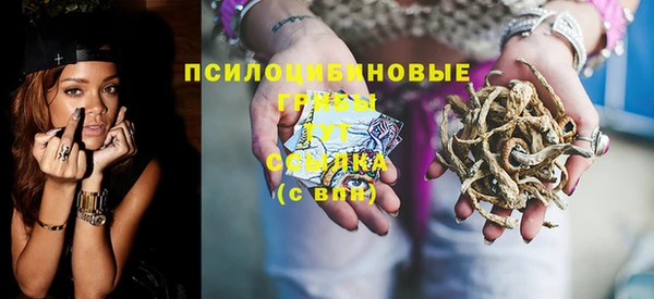ГАЛЛЮЦИНОГЕННЫЕ ГРИБЫ Армянск